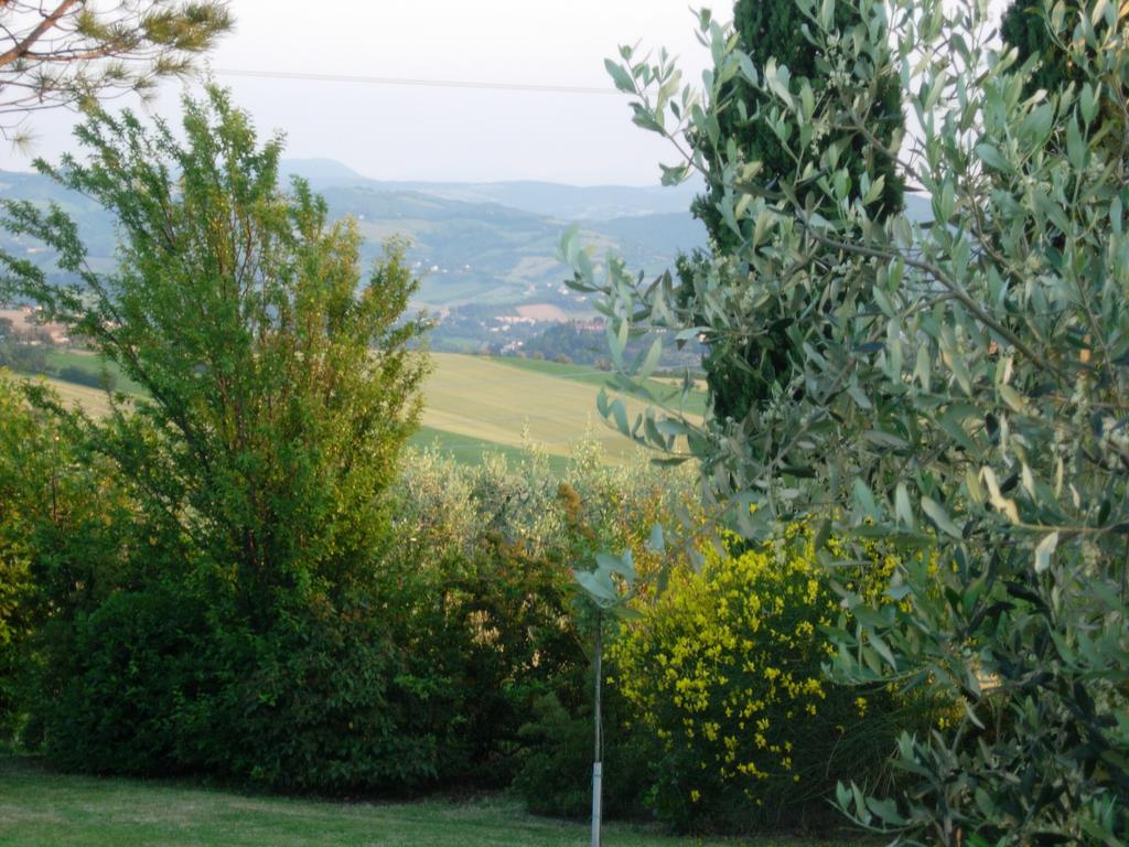 B&B La Torretta Tavullia Exterior foto